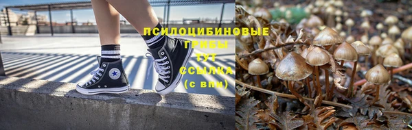 ПСИЛОЦИБИНОВЫЕ ГРИБЫ Абдулино