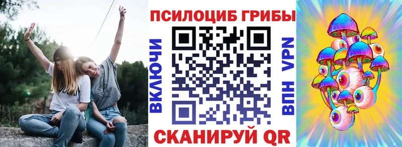 Псилоцибиновые грибы мицелий купить сайты Хадыженск